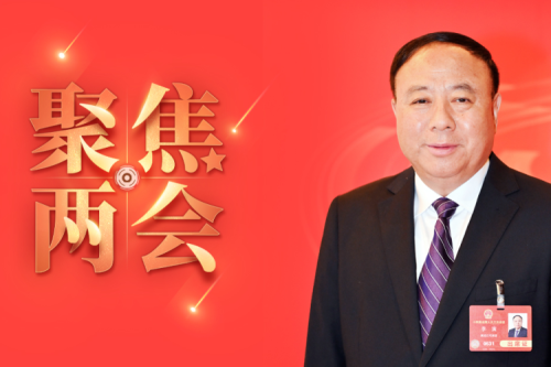 全國人大代表李寅2025年建議之四--盡快解決農(nóng)林生物質(zhì)發(fā)電可再生能源電價附加補助拖欠問題，化解行業(yè)經(jīng)營風險的建議